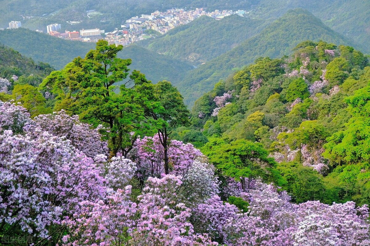 深圳地铁2号线和8号线26个免费旅游景点攻略，坐着地铁去看海啦